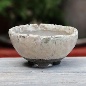Può includere: Un piccolo vaso per bonsai in ceramica bianca con una superficie testurizzata e tre gambe. Il vaso è leggermente irregolare nella forma e ha un bordo marrone chiaro.