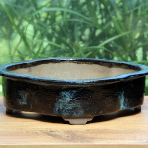 May include: A low-profile, oval-shaped ceramic bonsai pot with a glossy black exterior finish featuring subtle blue-green undertones. The interior is a light, matte beige color, and the base is supported by four small, integrated feet.