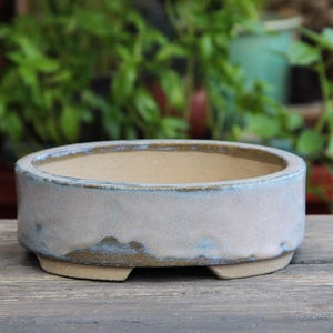 Può includere: Un vaso rotondo per bonsai in ceramica blu chiaro con un bordo marrone e tre piccoli piedini. Il vaso ha una smaltatura sottile e una superficie leggermente testurizzata.