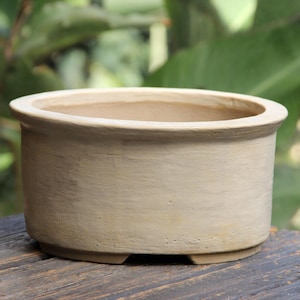 Op de afbeelding: Een beige, ronde keramische bonsai pot met een brede, licht uitlopende rand. De pot heeft een textuur. De pot is ongeveer 15 cm in diameter en 10 cm hoog.