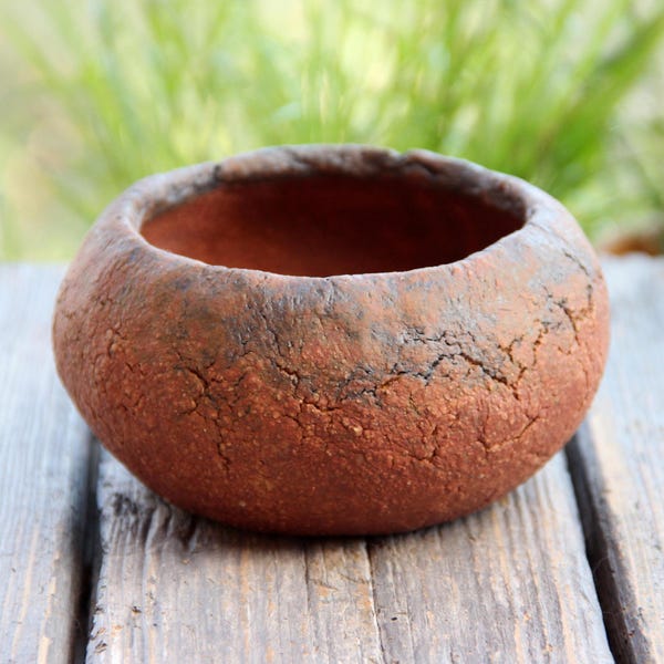 Maceta rústica de arcilla roja: Plato para macetas de suculentas para interior y exterior (opción de plato).