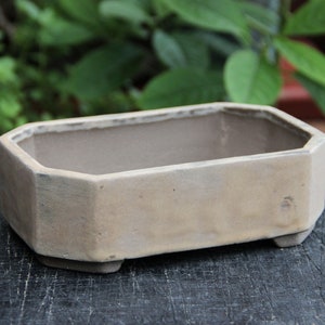 Könnte beinhalten: Ein rechteckiger, hellbrauner Keramik-Bonsai-Topf mit leicht strukturierter Oberfläche und leicht abgerundeter Kante. Der Topf hat einen flachen Boden mit vier kleinen Füßen.