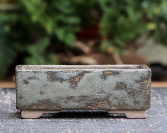 Può includere: Un vaso rettangolare in ceramica per bonsai con una glassa verde chiaro e marrone. Il vaso ha una superficie testurizzata e tre piccoli piedini.