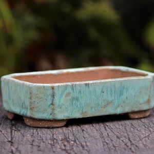 Pastel Green Low Bonsai Pot, Shallow Cactus Planter