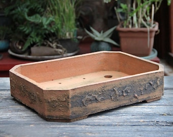 Angled Rectangle Unglazed Bonsai Pot: Rustic Textured Clay Low Planter
