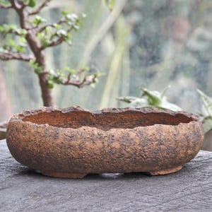Puede incluir: Una maceta de bonsái de cerámica marrón, de forma ovalada y texturizada. La maceta tiene un borde rugoso e irregular y se apoya en tres pequeños pies. El fondo presenta una vista borrosa de vegetación.