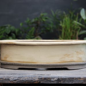 May include: A white oval ceramic bonsai pot with a textured, aged finish. The pot has a raised lip and a dark gray base.