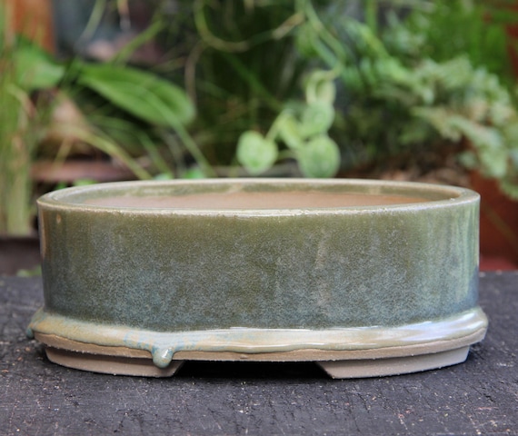 Handwerklich Grn glasierter Oval Bonsai Topf: Handgemachter Sukkulenten  Kaktus Pflanzer - Etsy.de