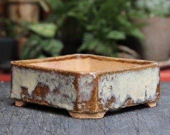 Vaso per bonsai basso quadrato in ceramica: rustico beige marrone patinato smaltato vaso per piante grasse poco profondo