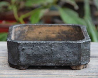 May include: A black square ceramic bonsai pot with a rough textured surface and four small feet. The pot has a slightly raised rim and is made of unglazed clay.