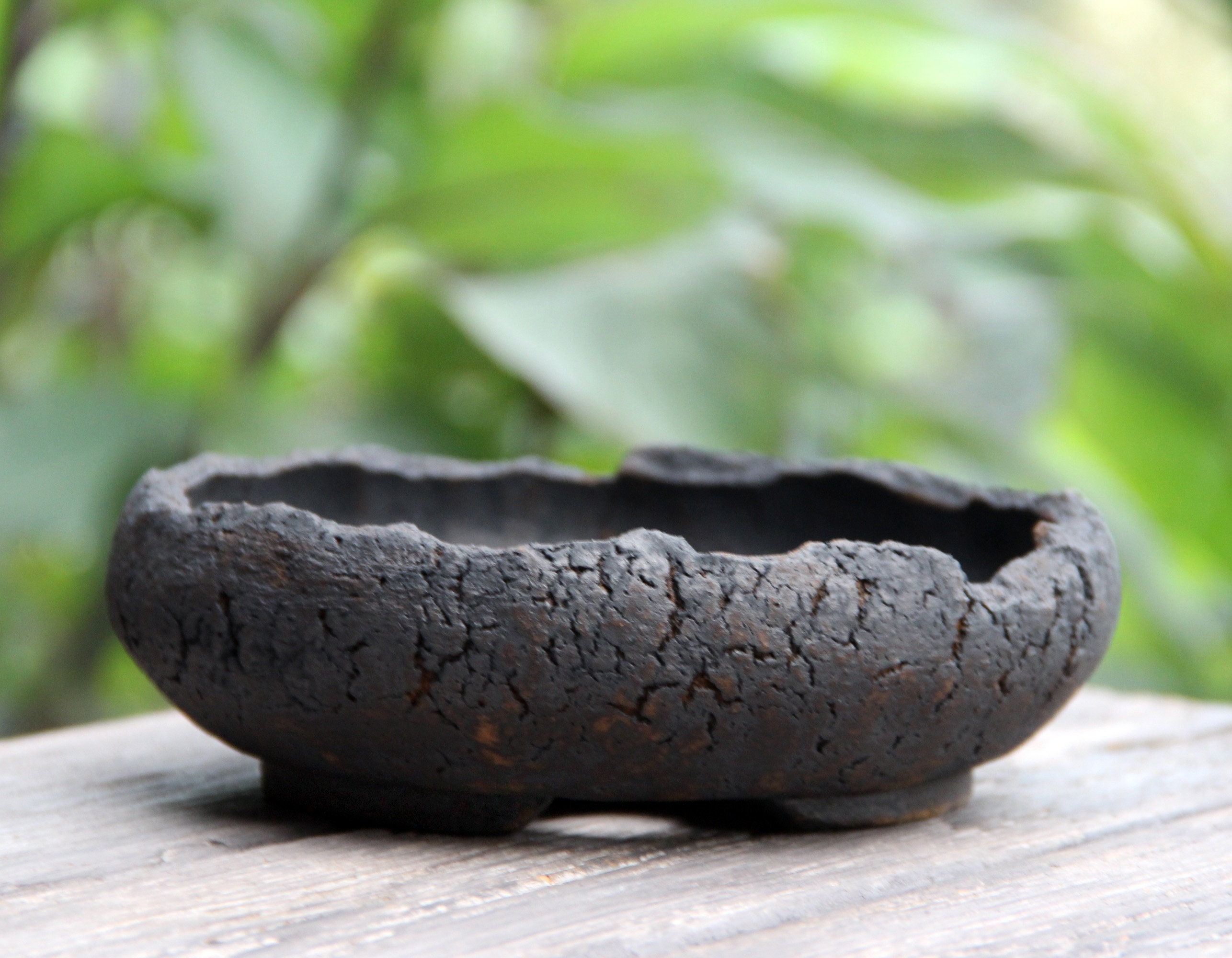 MUZHI 10” Round Large Ceramic Bonsai Bowl Planter，Clay Succulent Plant Pot  Container with Saucer