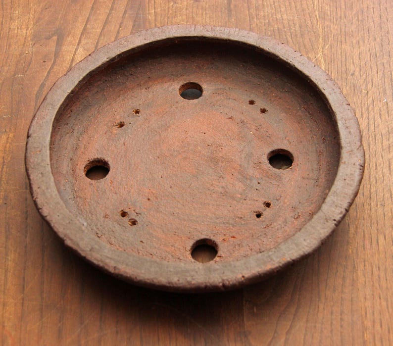 May include: A terracotta saucer with six drainage holes. The saucer is brown and has a rough texture.