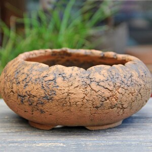 Unglazed Clay Round Bonsai Pot: Textured Umber Brown Deep Succulent Planter Bowl