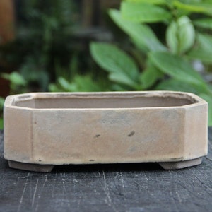May include: A rectangular, light brown ceramic bonsai pot with a slightly textured surface and four small feet. The pot is empty.