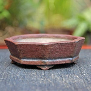 Rustic octagonal ceramic red clay bonsai pot, geometric shallow succulent cactus pot, shohin bonsai tree pot, gift pot for bonsai artist