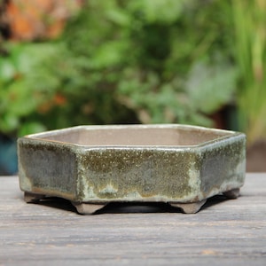 Può includere: Un vaso per bonsai esagonale in ceramica con una smaltatura verde e una finitura macchiettata. Il vaso ha sei gambe ed è appoggiato su una superficie di legno.