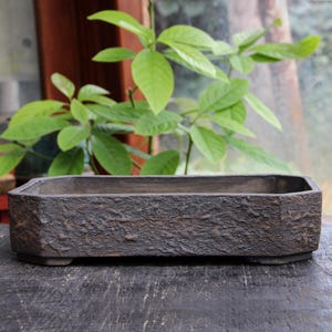 Könnte beinhalten: Ein rechteckiger Bonsai-Topf aus dunkelbrauner Keramik mit einer rauen, strukturierten Oberfläche. Der Topf hat einen leicht erhöhten Rand und vier kleine Füße.