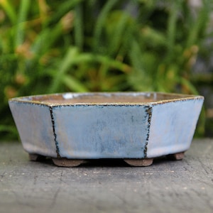 Può includere: Un vaso per bonsai esagonale in ceramica blu chiaro con un bordo marrone. Il vaso ha una smaltatura testurizzata e si trova su una superficie grigia.