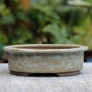 May include: An oval-shaped ceramic bonsai pot with a wide, flat rim. The exterior features a mottled, light beige and pale green glaze with visible earthy brown undertones. The base is dark brown and raised on small, integrated feet.