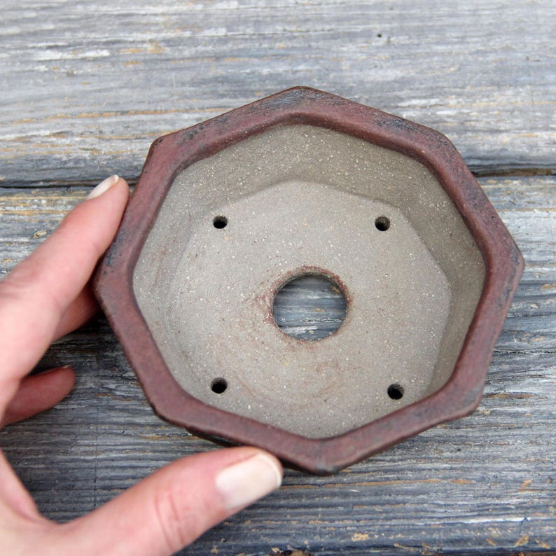 May include: Octagonal bonsai pot with a brown rim and a light gray interior. The pot has four drainage holes and a large center hole.
