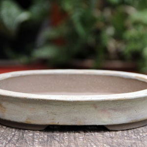 Könnte beinhalten: Ein weißer ovaler Bonsai-Topf aus Keramik mit leicht erhöhtem Rand und drei kleinen Füßen an der Unterseite.