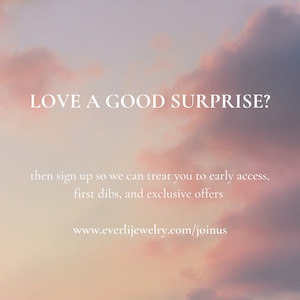 May include: A pink and orange sunset sky with the text "LOVE A GOOD SURPRISE?" and the text "then sign up so we can treat you to early access, first dibs, and exclusive offers" and the website address "www.everlijewelry.com/joinus".