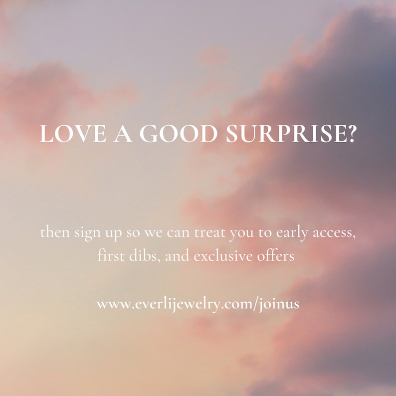 May include: A pink and orange sunset sky with the text "LOVE A GOOD SURPRISE?" and the text "then sign up so we can treat you to early access, first dibs, and exclusive offers" and the website address "www.everlijewelry.com/joinus".