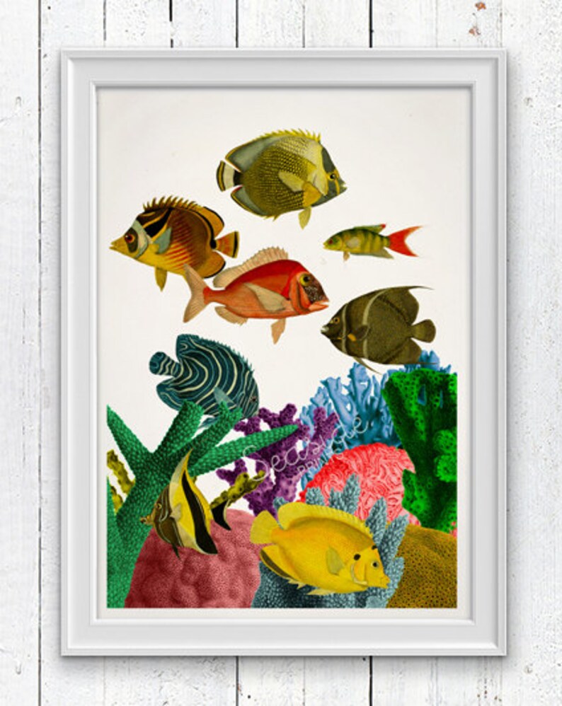 Caribbean Reef At Home White Art Print Home Decor Wall Art Etsy