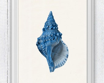 Sea shell electric blue Sea life print - seashells wall art home decor -A 4 print SAS206