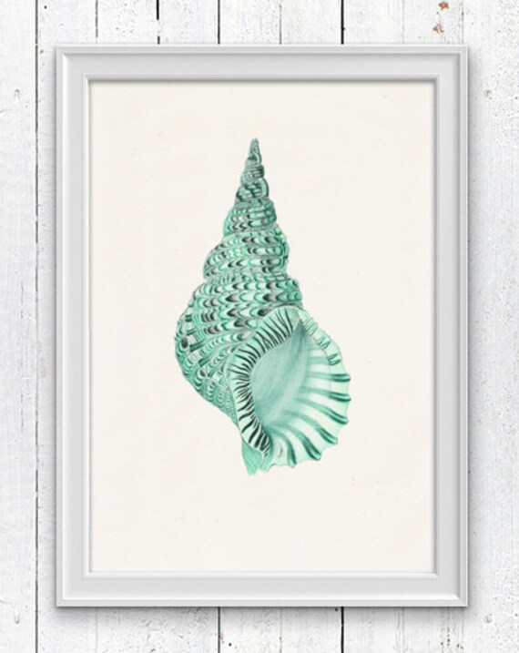 Download Art cotier seashells framed mur plage Free