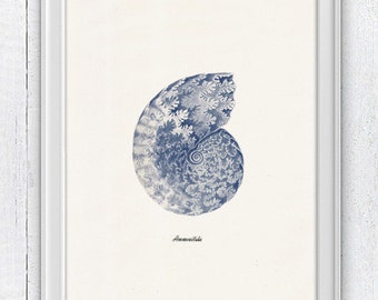 Sea shell in blue - Nautilus 1 (Ammonitida) Sea life print - seashells wall art home decor -A 4 print SAS234