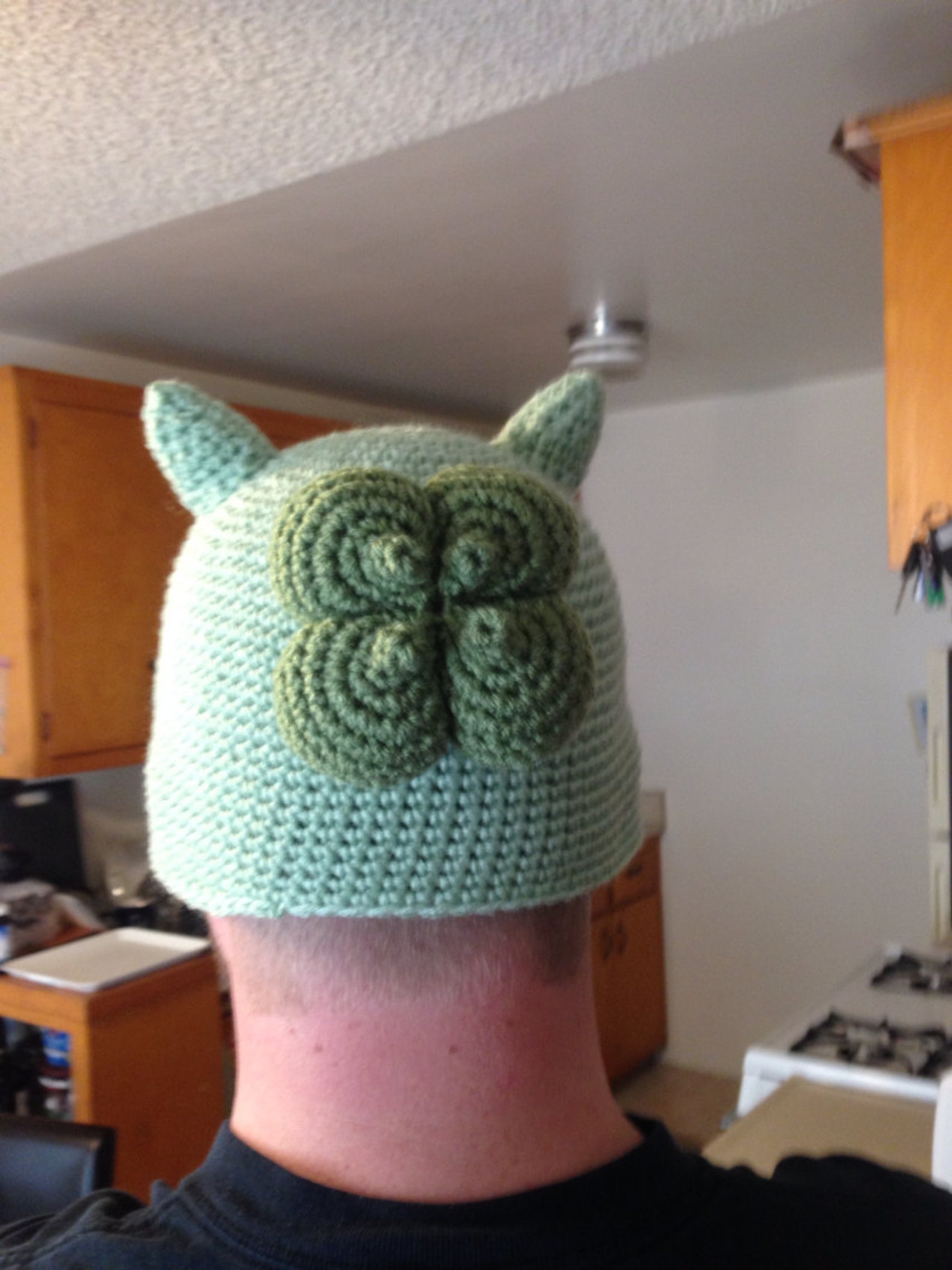 Bulbasaur Beanie pokemon Hat Cap Beanie Etsy