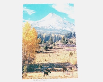 Vintage Color Postcard - Mount Hood Oregon Mt Hood - Oregon Souvenir Vintage Postcard Plastichrome