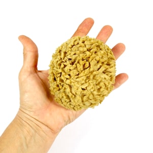 Vintage Small Sea Wool Sponge Natural Sponge Natural Sea Sponge Wool Sea Sponge