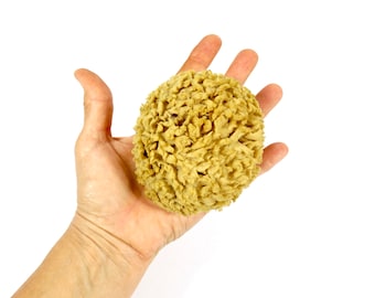 May include: A large, round, beige natural sea sponge in a person's hand.