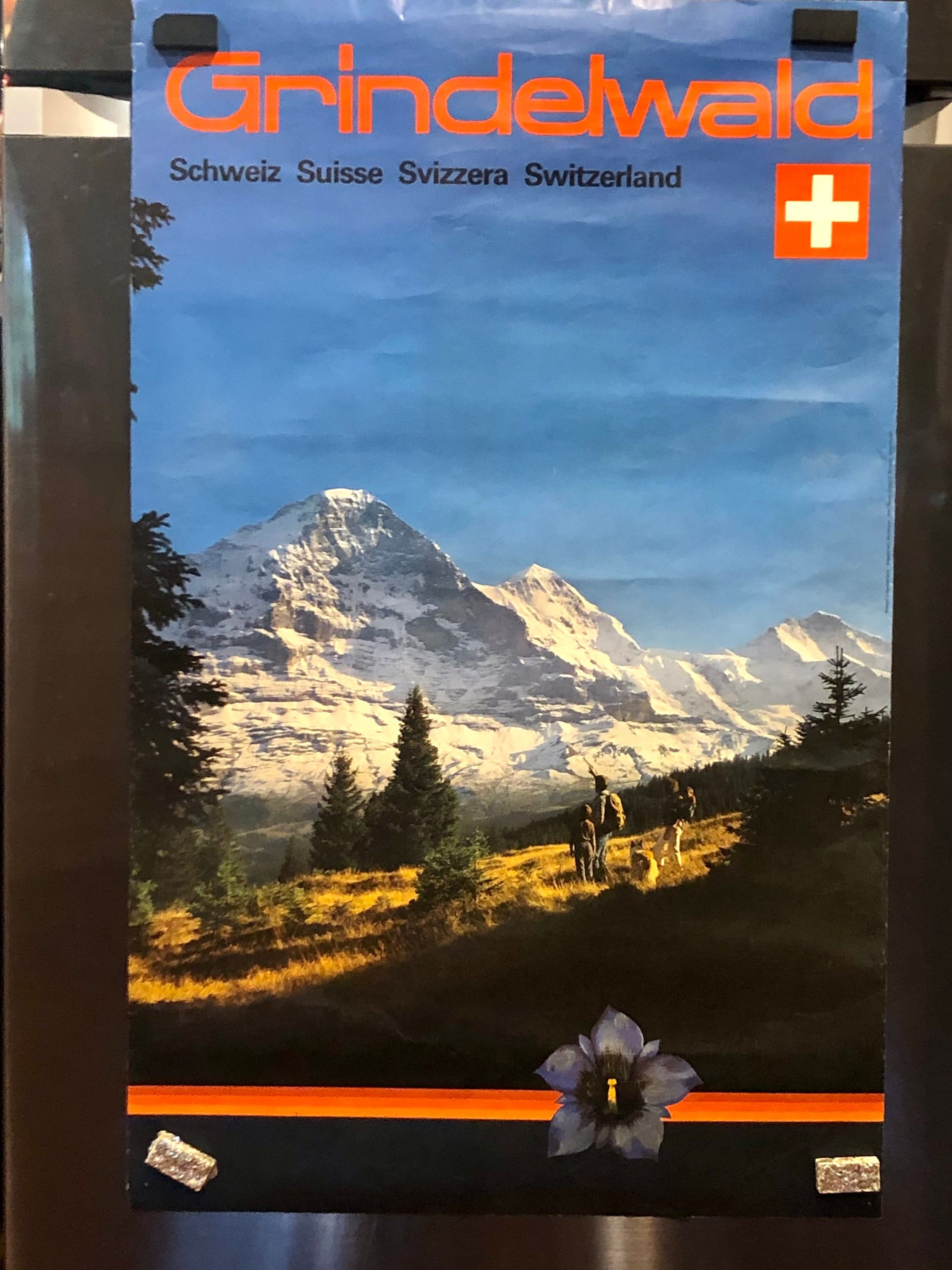 70年代 ビンテージ SKIPOLES＆SKI スキー デザイン ポスター Amazon 