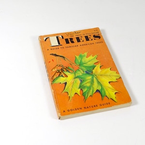1956 Trees Guide Book - Golden Nature Guide Trees - Science Guidebook - Tree Identification 1956 Little Golden Guide Naturalist Homeschool