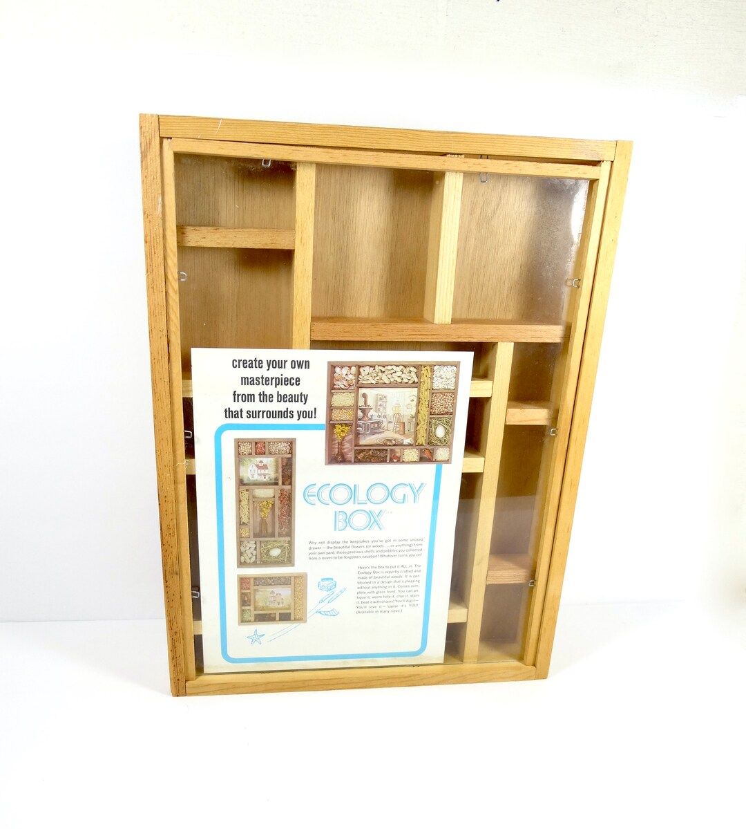 1970s Ecology Box Shadow Box Nature Display Nature Shadow Box 1970s