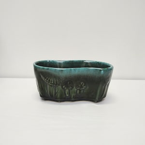 May include: A dark green ceramic planter with a teal rim. The rectangular planter features embossed mushroom and foliage designs. The planter is on a white surface.