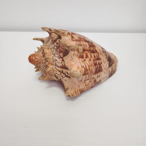 May include: A set of three ceramic mugs with a speckled, matte finish. The mugs are in shades of cream, light gray, and dark gray. Each mug has a simple, minimalist design and a rounded handle.