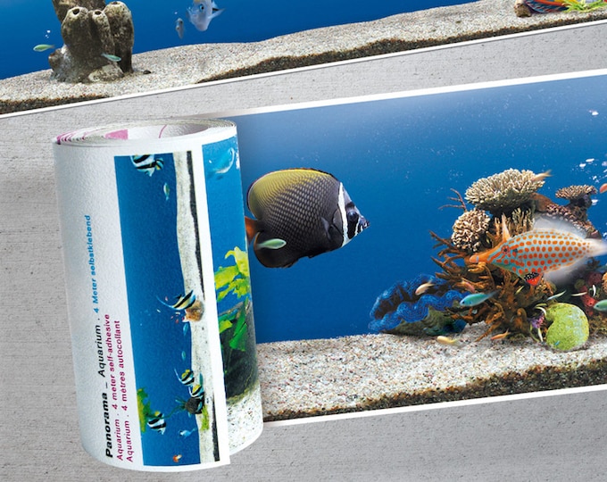 Wall Wallpaper/Trim Aquarium