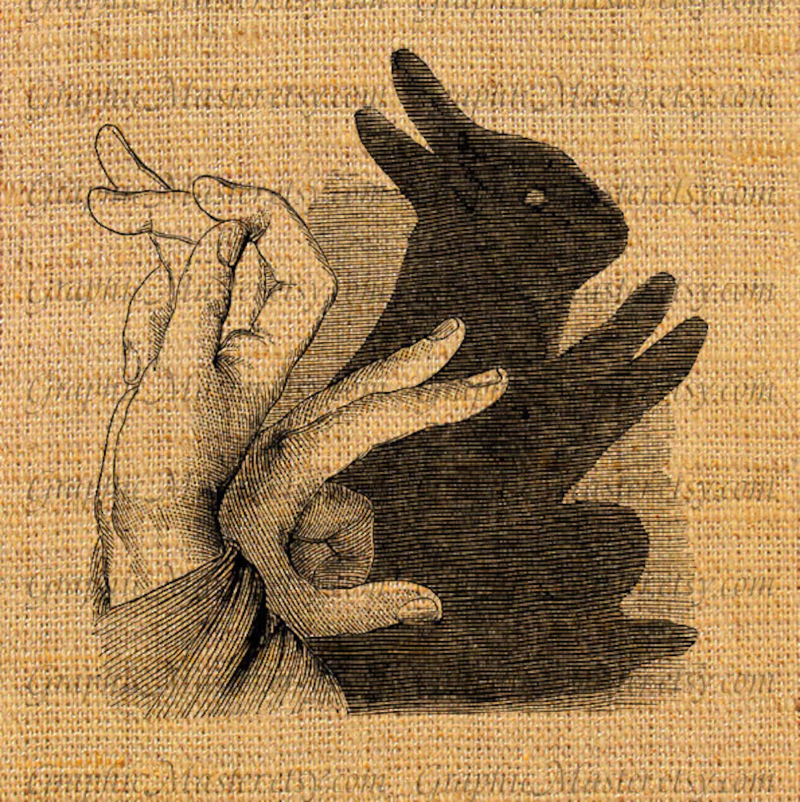 Shadow Puppet Rabbit JPEG PNG Graphics Digital Instant Etsy