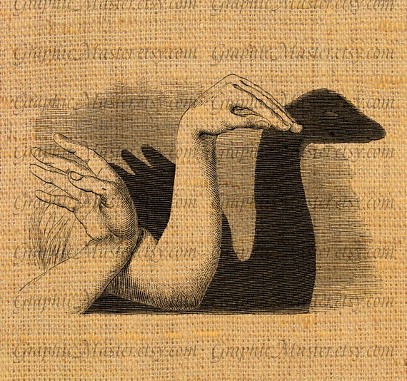 Perception essay examples picture