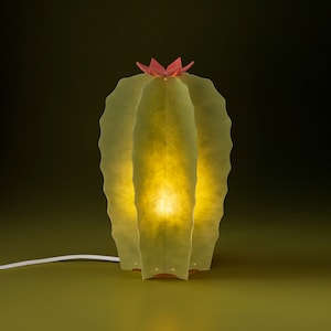 CACTUS-lamp. Lampen voor bloemen, bloemen en cactussen