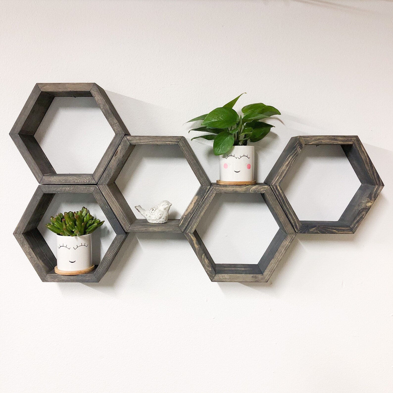 Hexagon Shelving Plant Shelves Shelves Deep 3.5 Etsy UK