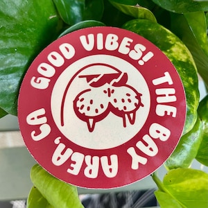 Good Vibes The Bay Area sticker, handmade sticker, 1 Sticker 3in, Sea lion glossy sticker, San Francisco Bay Area sticker
