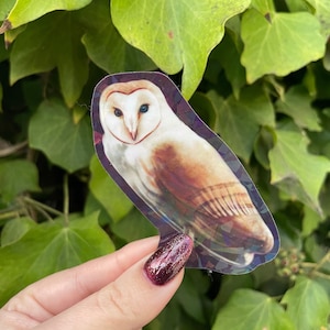 Holographischer Aufkleber Eule, handgemachter wasserfester Aufkleber, Vogelbeobachter Aufkleber