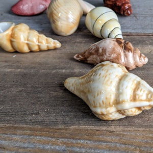 Coastal Home Decor Vintage Sea Shell Decoration Beach House Ocean Theme Ceramic Table Decor image 6