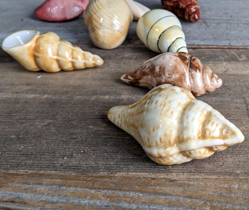 Coastal Home Decor Vintage Sea Shell Decoration Beach House Ocean Theme Ceramic Table Decor image 6