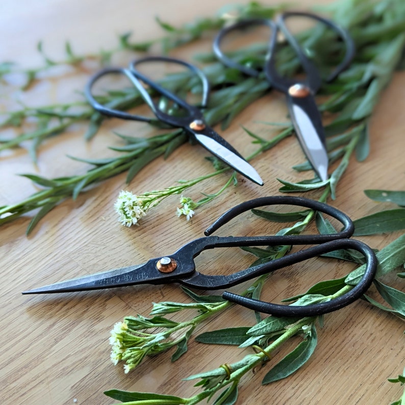 forged iron garden shears with extra large, black iron curved handles.  extra space for comfort when wearing gloves.  extra sharp point.